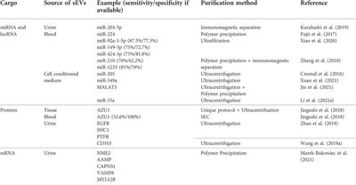 Small extracellular vesicles as a multicomponent biomarker platform in urinary tract carcinomas